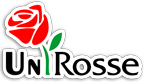 گل فروشی آنلاین یونی رز (رز جاودان)-فروش انواع باکس گل رز و جعبه گل رز جاودان