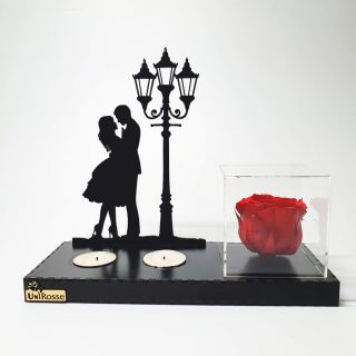 جاشمعی و رز جاودان مدل عاشقانه