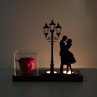 جاشمعی و رز جاودان مدل عاشقانه