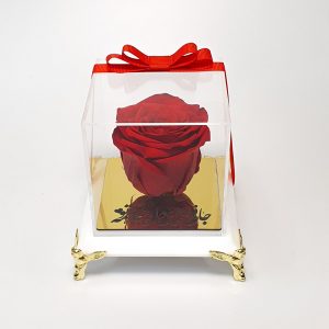 باکس گل رز جاودان قرمز ریسه دار مدل پایه فرشته ، پایه سلطنتی، پایه طلایی باکس سفید