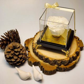 باکس گل رز جاودان سفید مدل پایه فرشته ، پایه سلطنتی، پایه طلایی باکس مشکی،