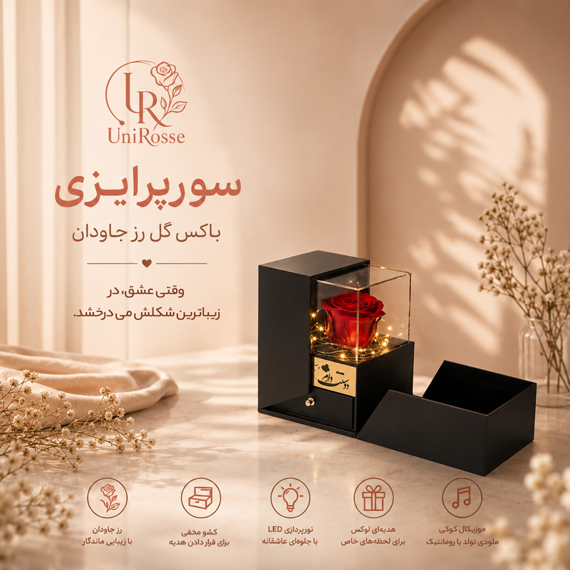 باکس گل رز جاودان مدل سورپرازی