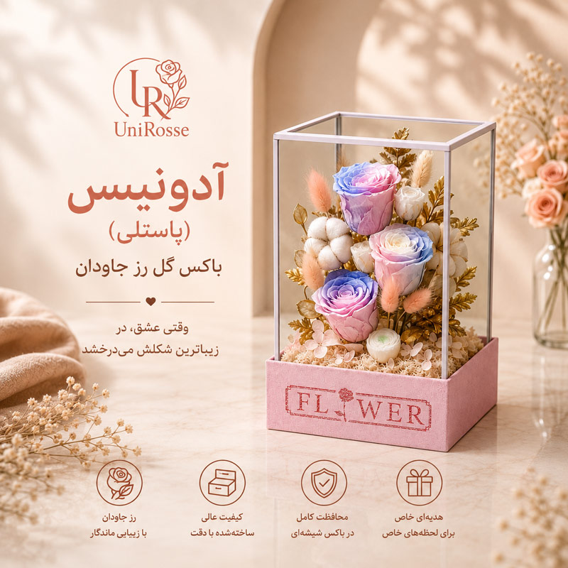 آدونیس پاستلی