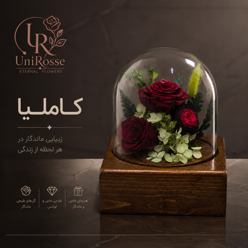 رزجاودان مدل کاملیا، کاملیا قرمز، رزجاودان پایه چوبی،
